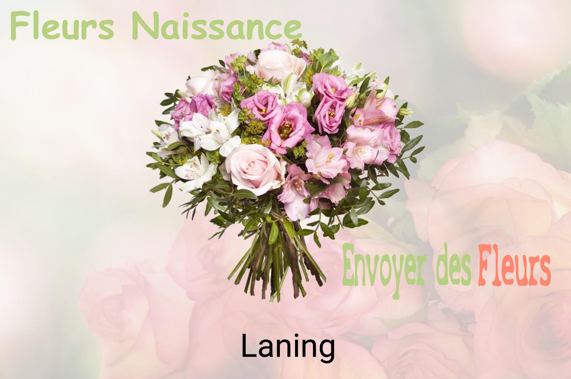 Bouquet de fleurs de naissance livré à Laning